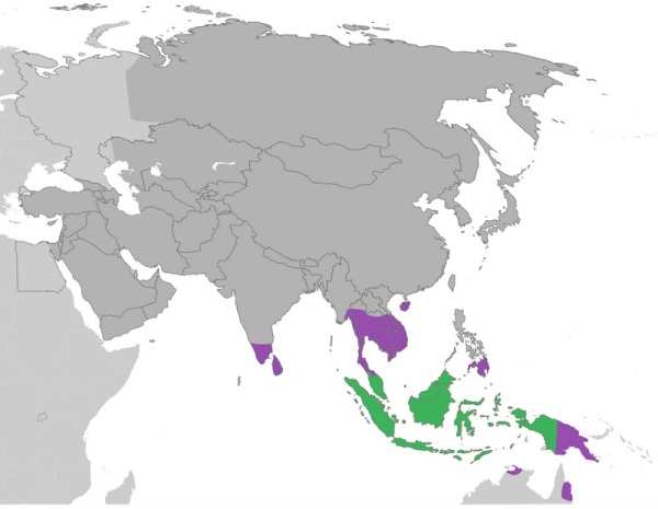 durio map